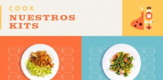 Food infographic – Flyer design: 50 brilliant examples you can learn from