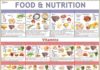 Food infographic – Food & Nutrition Charts Exporter, Manufacturer, Distributor & Supplier, Food & N…