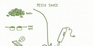 Food infographic – Food illustration by Katie Shelly