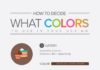 Food infographic – Food infographic – How to Decide What Colour Scheme to Use on Your Website…