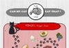 Food infographic – Food infographic – If you want to feed your cat with leftovers or more generally speaking with “hum…