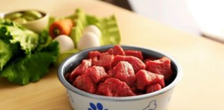 Food infographic – Food infographic – It seems obvious that meat should be the center of our pets’ diet, our dogs an…