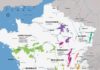 Food infographic – French Wine Exploration Map