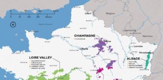 Food infographic – French Wine Exploration Map