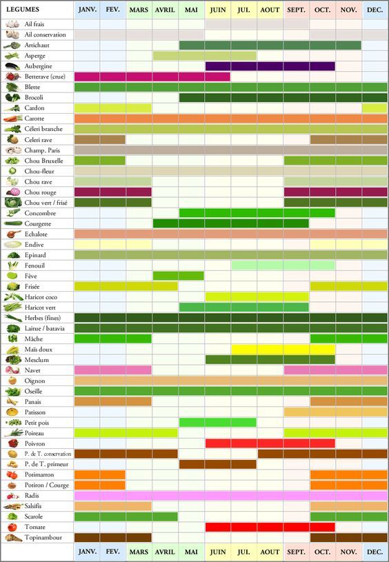 Food infographic - Fruits et légumes par saison - InfographicNow.com ...