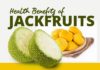 Food infographic – Health Benefits of Jackfruit