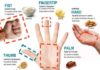 Food infographic – Healthy Eating: An Easy Guide To Portion Control