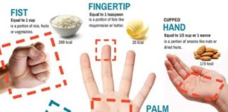 Food infographic – Healthy Eating: An Easy Guide To Portion Control