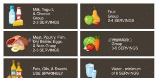 Food infographic – Healthy Eating Infographic