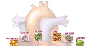 Food infographic – Healthy Heart