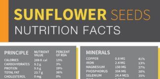 Food infographic – Healthy sources of fats like those found in sunflower seeds are the building blo…