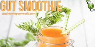 Food infographic – How Gut Bacteria Affects Brain And Body Infographic