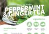 Food infographic – How to Make Peppermint Tea 5 Different Ways