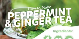 Food infographic – How to Make Peppermint Tea 5 Different Ways