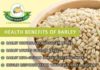 Food infographic – Hulled barley •Lowers blood cholesterol levels •Protects against cancer beca…