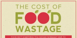Food infographic – INFOGRAPHIC: The Cost of Food Waste…