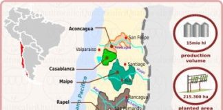 Food infographic – Il Cile – Conoscere il Vino