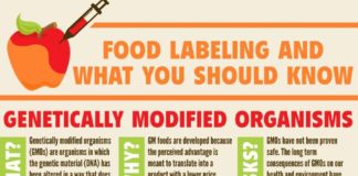 Food infographic – Label GMO Foods Infographic