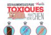 Food infographic – Les 9 aliments les plus toxiques pour votre chien