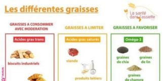 Food infographic – Les différentes graisses