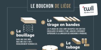Food infographic – Les étapes de fabrication d’un bouchon de liège destiné au vin. #wine #winelo…