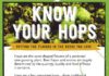 Food infographic – Let’s Go to the Hops