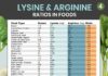 Food infographic – Lysine-Arginine Ratios: Lysine-Rich Foods with Less Arginine Chart + Infographic