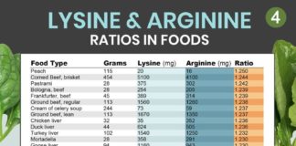 Food infographic – Lysine-Arginine Ratios: Lysine-Rich Foods with Less Arginine Chart + Infographic