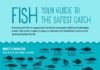 Food infographic – New Guidelines Make It Easier to Choose Safe Fish for Your Family