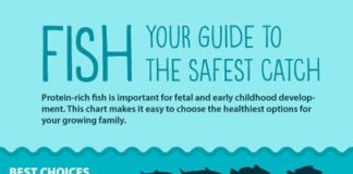Food infographic – New Guidelines Make It Easier to Choose Safe Fish for Your Family
