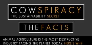 Food infographic – Open Your Eyes to the #1 Threat to Our Planet and Health