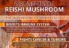 Food infographic – Reishi Mushroom Benefits