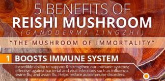 Food infographic – Reishi Mushroom Benefits