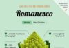 Food infographic – SMOOTHIES & DRINKS FÜR GESUNDHEIT + ENTGIFTUNG Suchen Sie nach der. Entdecken S…