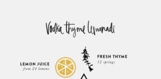 Food infographic – SUMMER COCKTAILS V.2