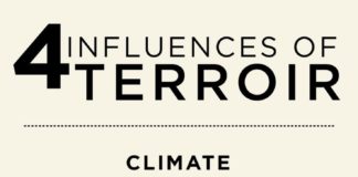 Food infographic – Terroir: Wine’s Biggest Mystery Debunked