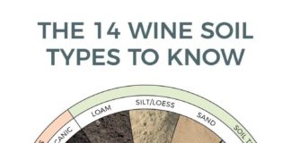 Food infographic – The 14 Wine Soil Types To Know