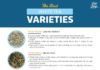 Food infographic – The Best White Tea Varieties