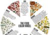 Food infographic – The Food Color Chart Infographic