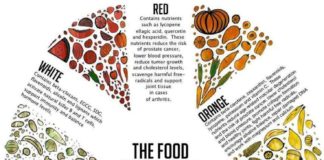 Food infographic – The Food Color Chart Infographic