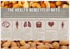 Food infographic – The Health Benefits of Nuts (INFOGRAPHIC)