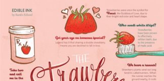 Food infographic – The Strawberry