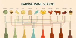 Food infographic – The Ultimate Wine-Pairing Infographic