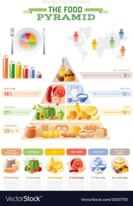 Food infographic - Vector illustration of food pyramid infographics ...