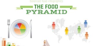 Food infographic – Vector illustration of food pyramid infographics with abstract template diagram,…