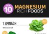 Food infographic – What Is Magnesium? Plus, Top 10 Magnesium-Rich Foods