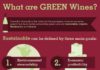 Food infographic – What is a green wine? Infographic