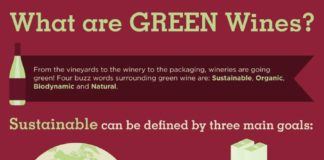 Food infographic – What is a green wine? Infographic