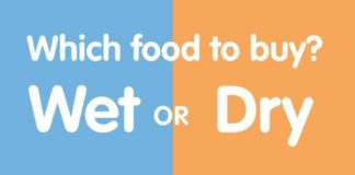 Food infographic – When deciding what to feed your cat, keep in mind that there are benefits to bot…
