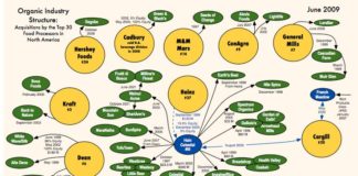 Food infographic – Who Owns Organic? Be aware of whom you buy from.